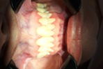 IMG-20250916-WA0066.jpg